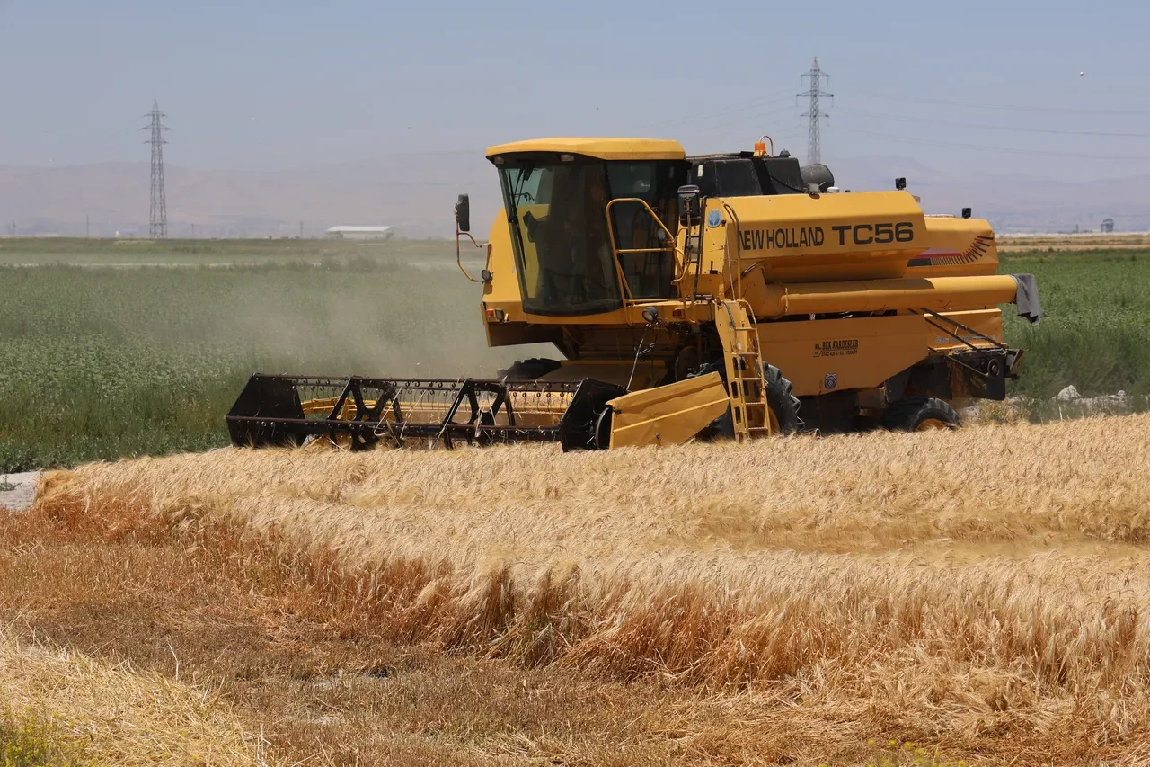 Zirai don nedeniyle çiftçilere maddi destek: İşte ödeme yapılacak ürünler