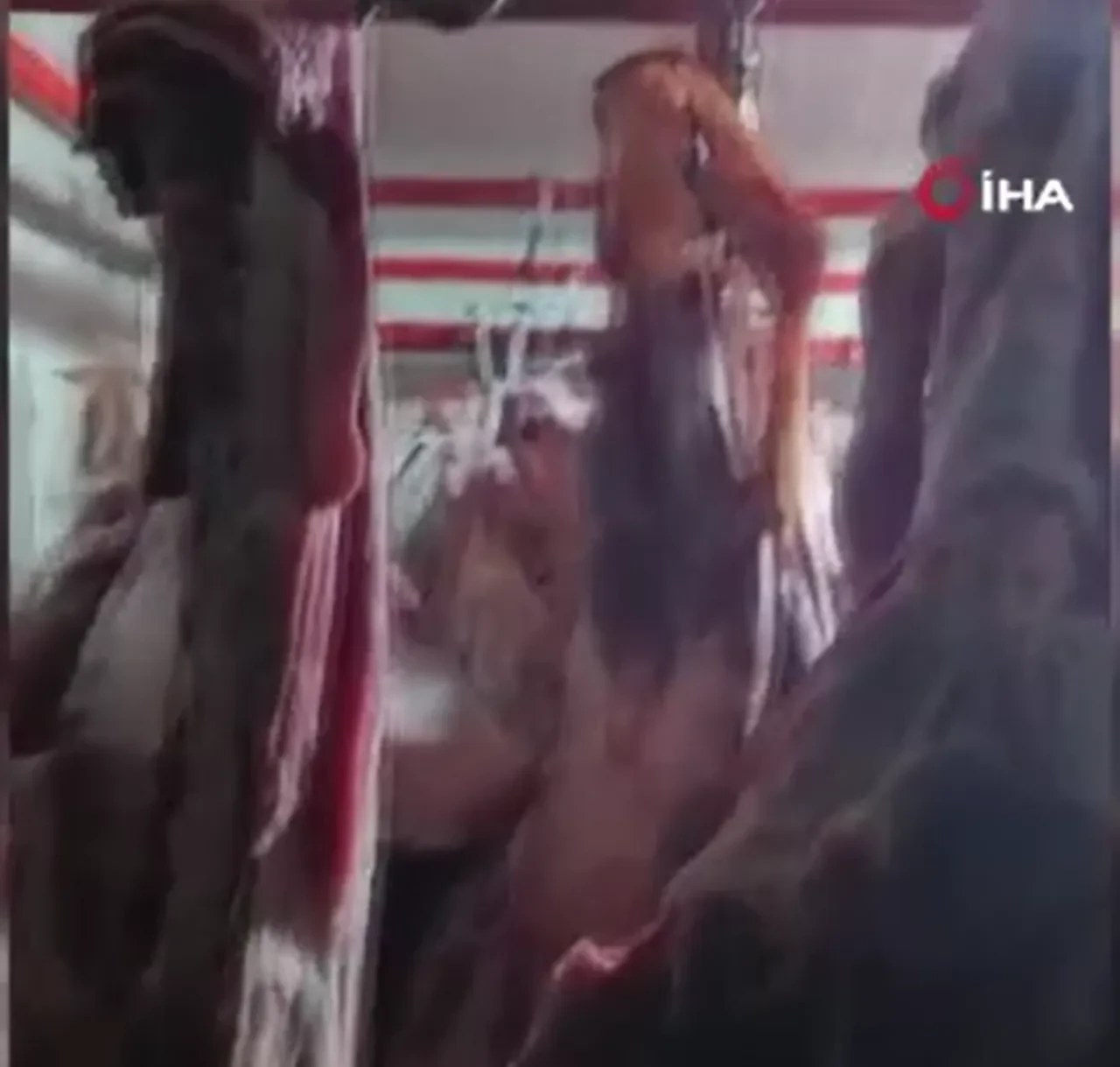 Gıda sahtekarları ifşalandı! Mide bulandıran görüntüler: Bunları vatandaşlara yedireceklerdi