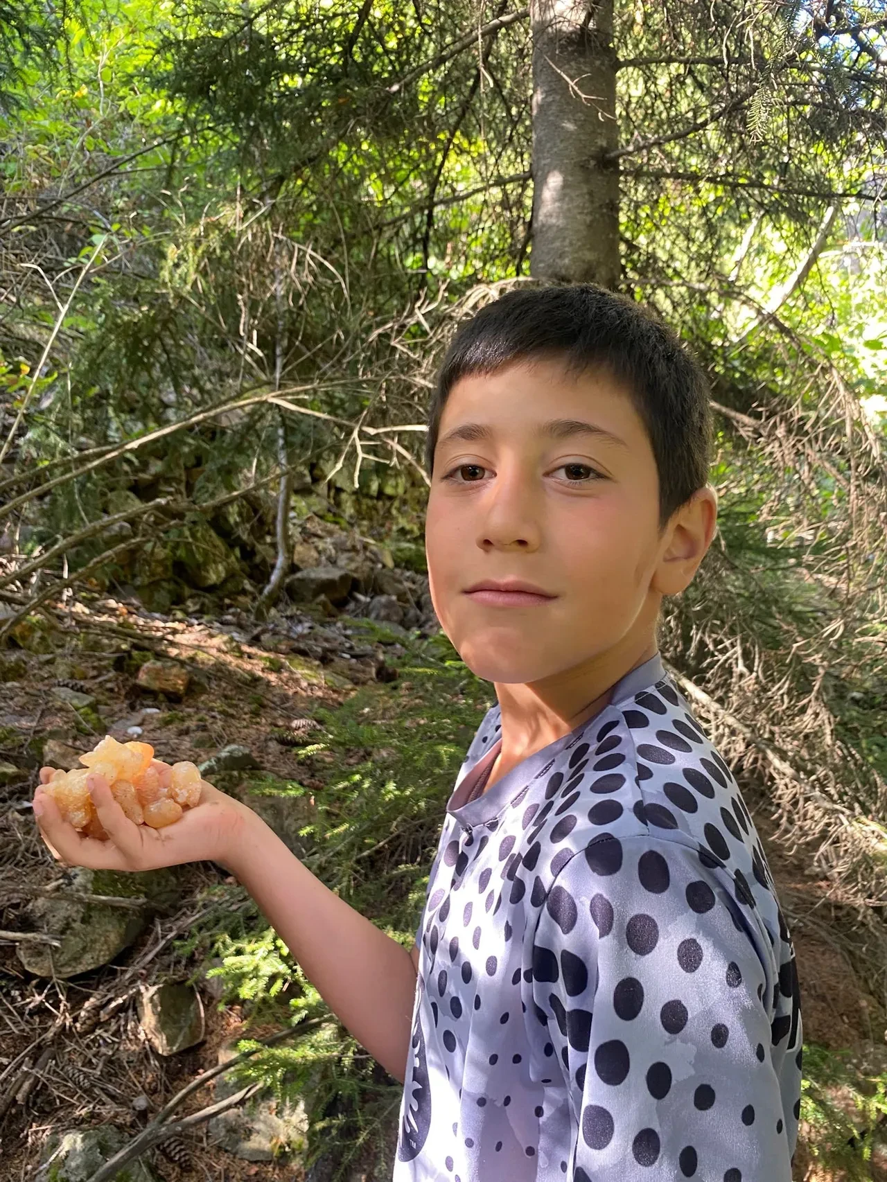 Minik Eymen ormanda topluyor, kilosu 5 bin TL’den satılıyor! 'Doğal şifa, maden buldum'