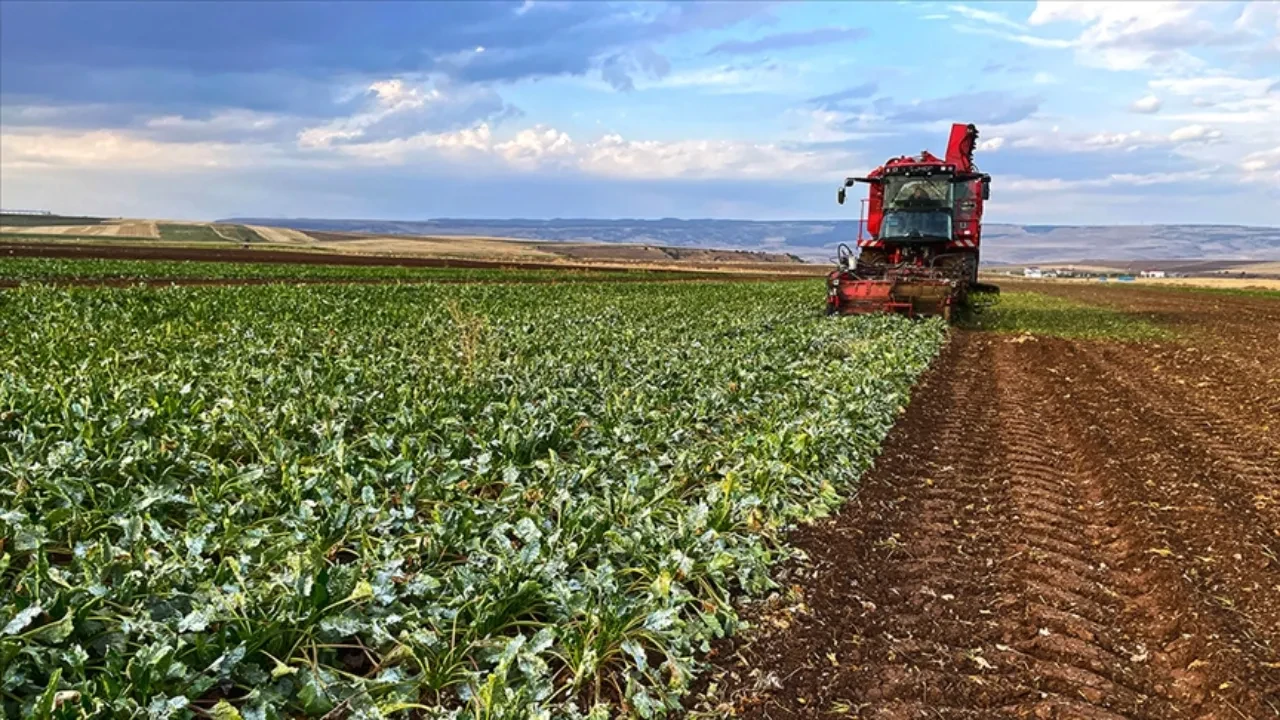 TÜİK açıkladı! Çiftçinin ağustos ayı enflasyonu belli oldu