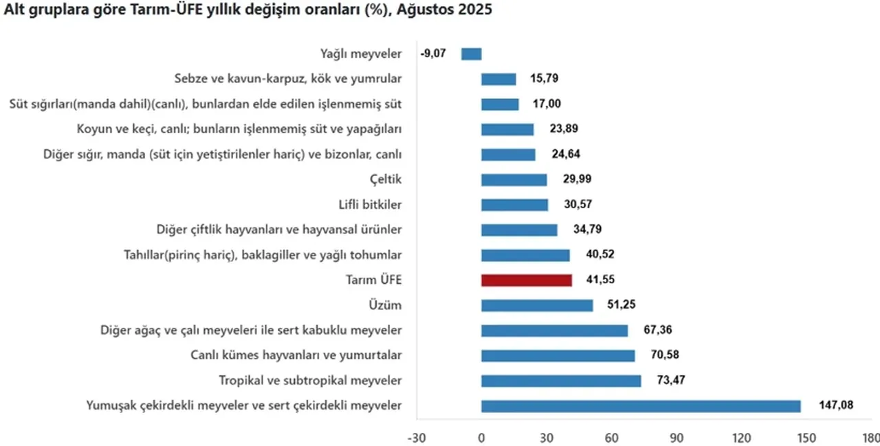 TÜİK açıkladı! Çiftçinin ağustos ayı enflasyonu belli oldu