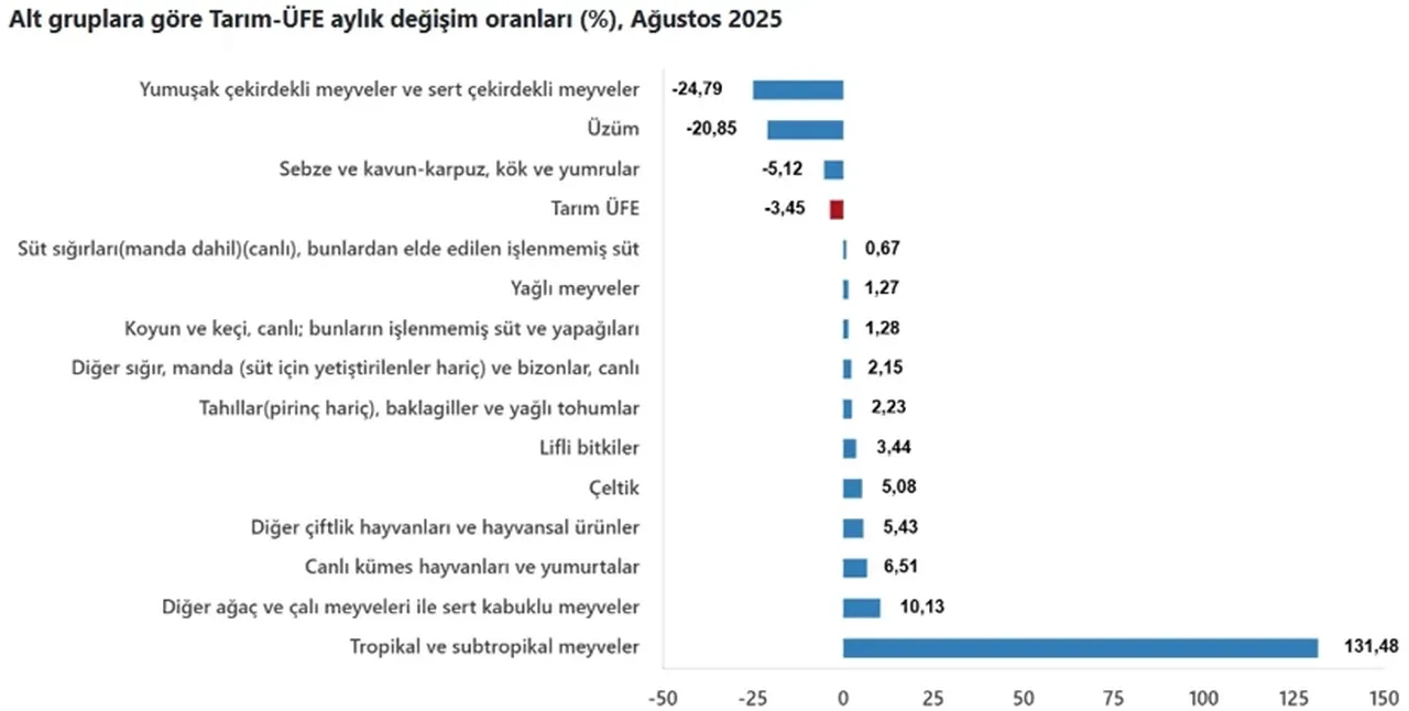 TÜİK açıkladı! Çiftçinin ağustos ayı enflasyonu belli oldu