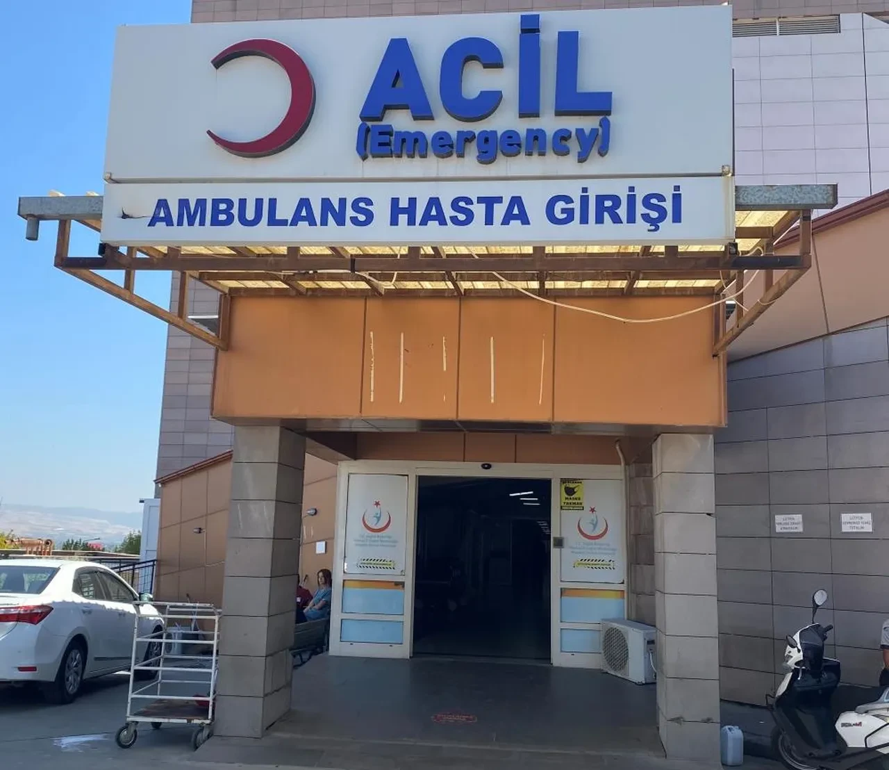 Ağacı kesmek isterken boğazını kesti! Yaşlı adamın feci sonu: Etraf kan gölüne döndü