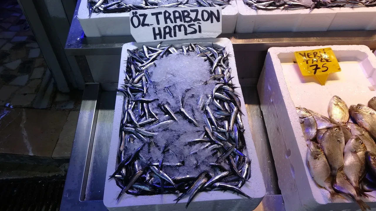 Palamut yok, hamsi de erken kaçıyor: Sofralar balıksız kalabilir