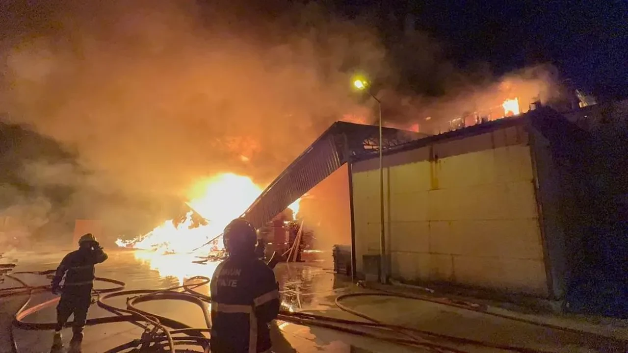 Samsun'da kereste fabrikasında yangın