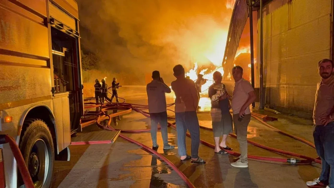 Samsun'da kereste fabrikasında yangın