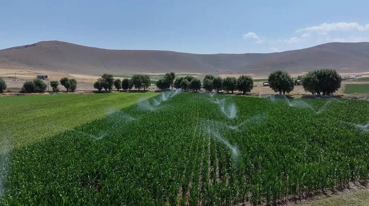 Bakan Yumaklı açıkladı: Erzurum'a 203 milyon liralık yatırım