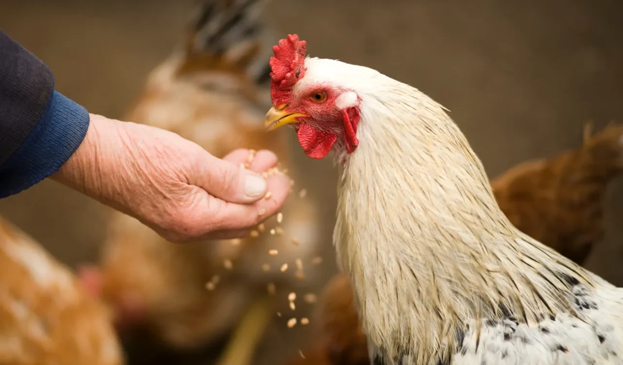 Beyaz et fiyatlarına zam mı geldi? BESD-BİR'den açıklama geldi