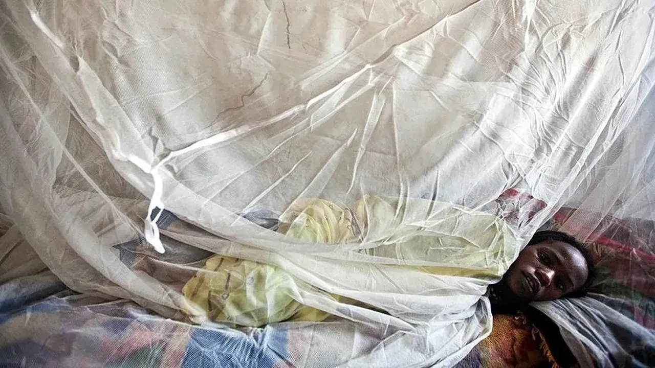 Can kaybı gittikçe artıyor! Kritik uyarı geldi: Bu hayvanlara asla dokunmayın