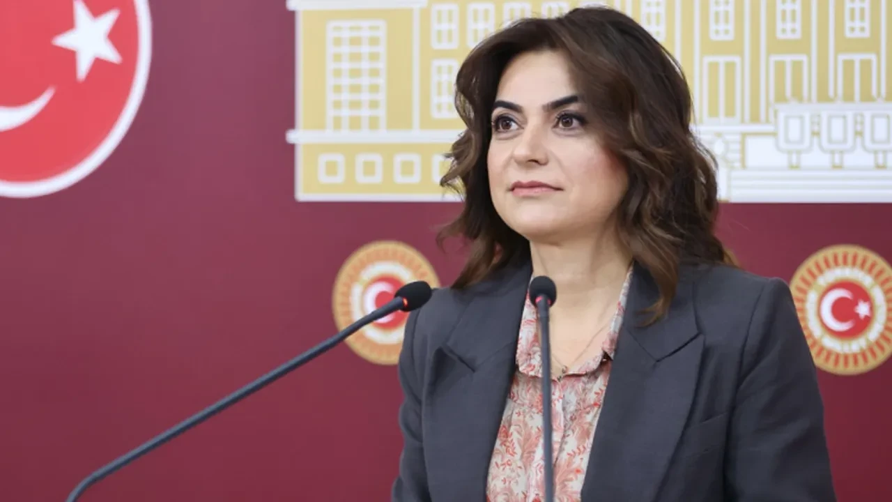 DEM Parti'den Terörsüz Türkiye süreci için ses getirecek çağrı: Öcalan Meclis'te konuşsun