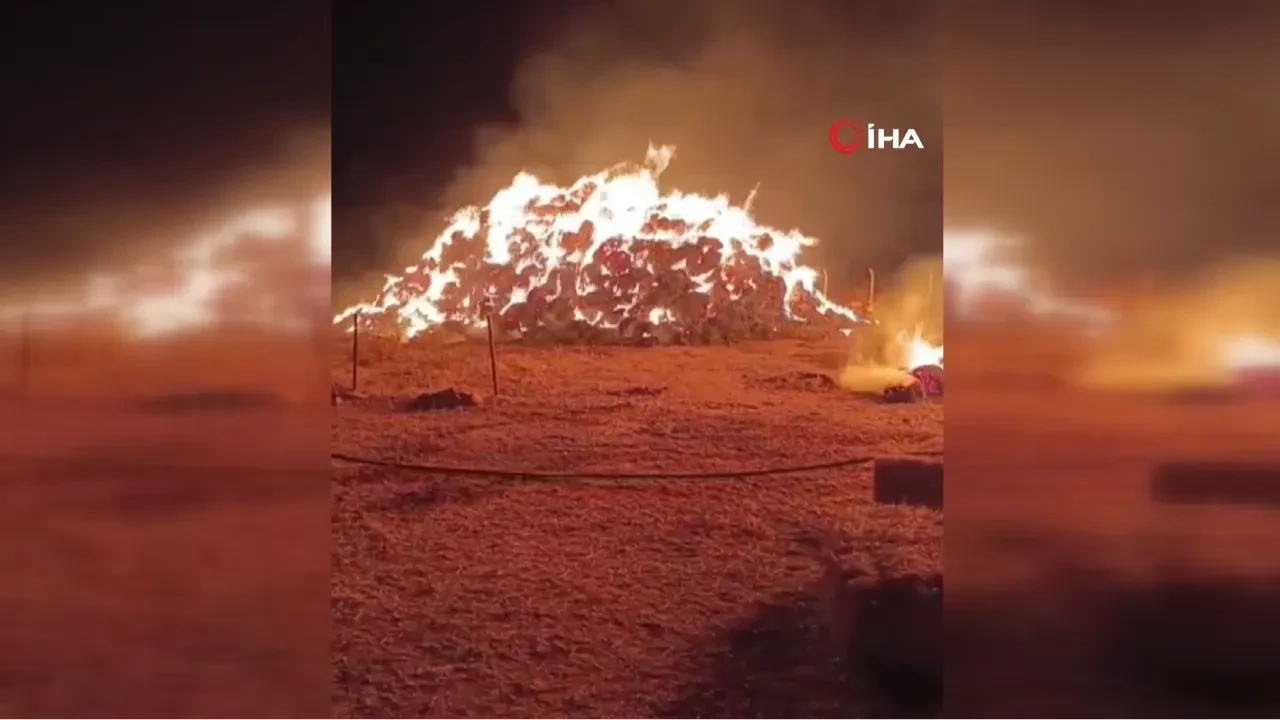 Erzurum'da yangın: 2 bin 500 balya ot kül oldu!