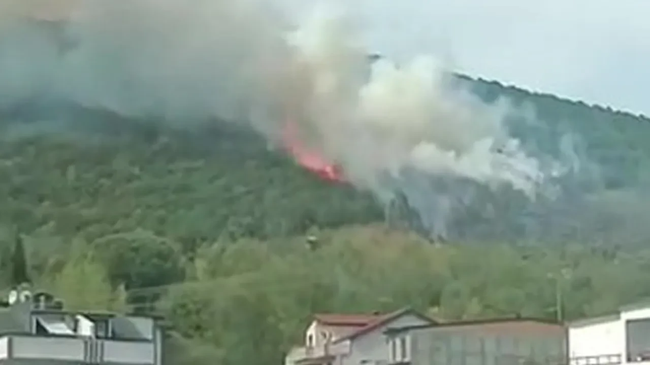 Kocaeli'de orman yangını! Ekiplerin alevlerle mücadelesi sürüyor