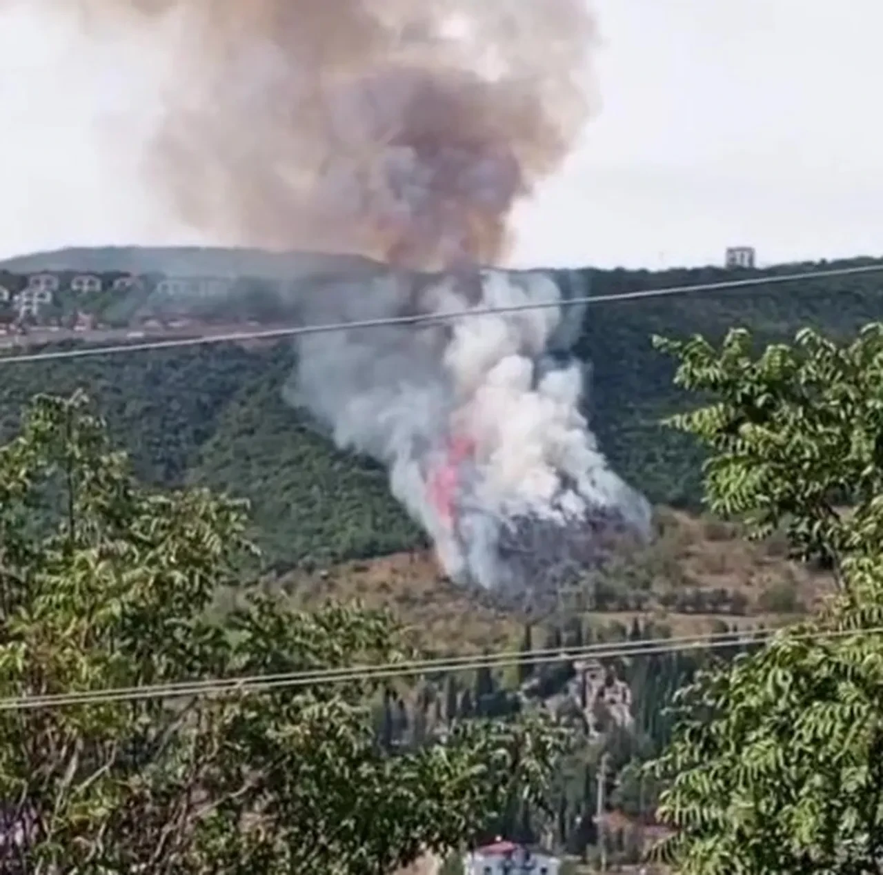 Kocaeli'de orman yangını! Ekiplerin alevlerle mücadelesi sürüyor