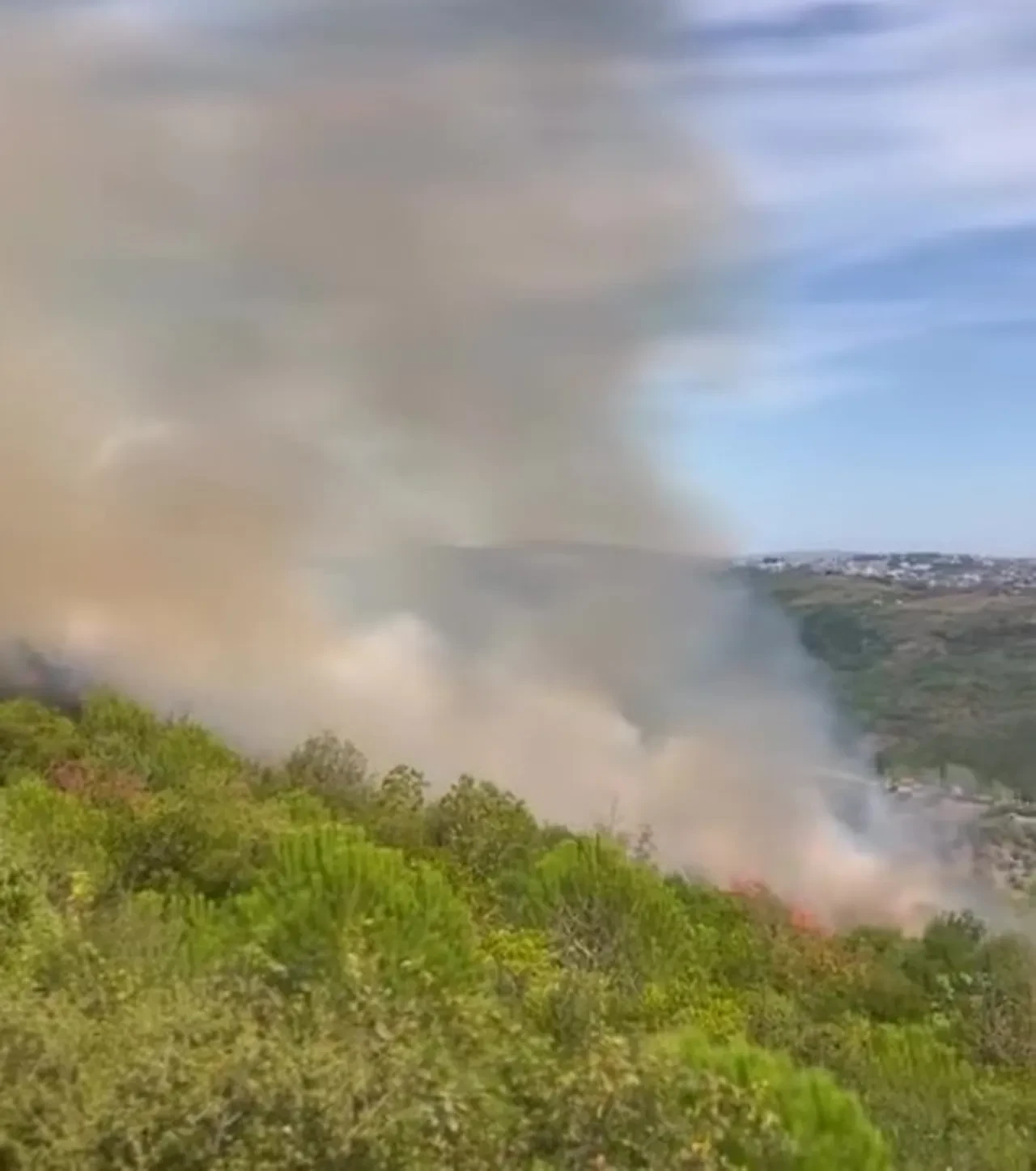 Kocaeli'de orman yangını! Ekiplerin alevlerle mücadelesi sürüyor