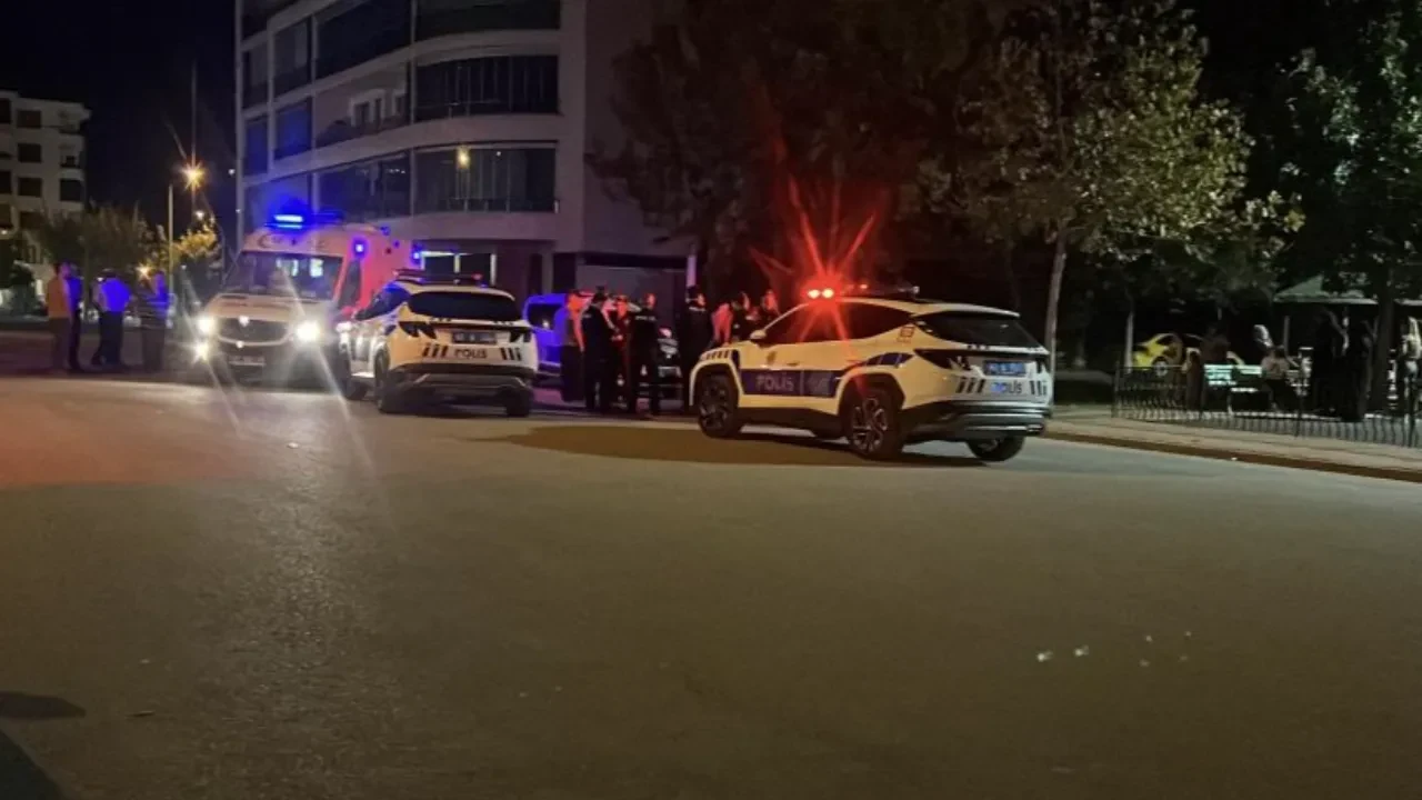 Parkta dehşet! Üvey babasını göğsünden bıçakladı