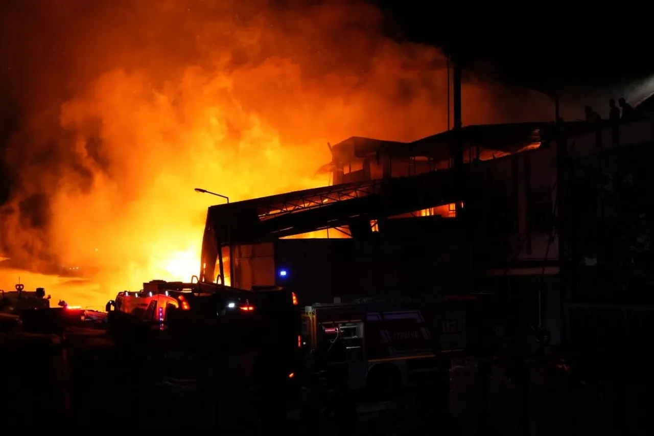 Samsun'da kereste fabrikasında yangın