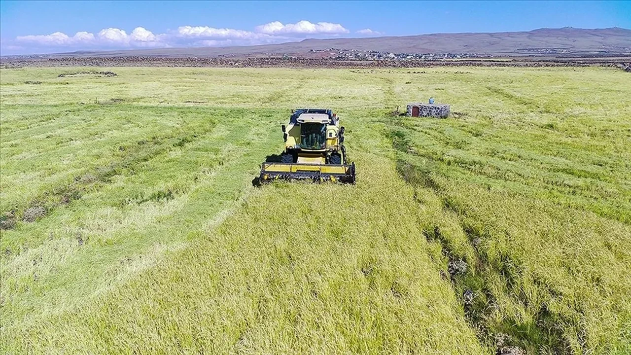 Tarım ve Orman Bakanlığından çiftçilere destek! 2026 yılı ödeme tutarları belli oldu