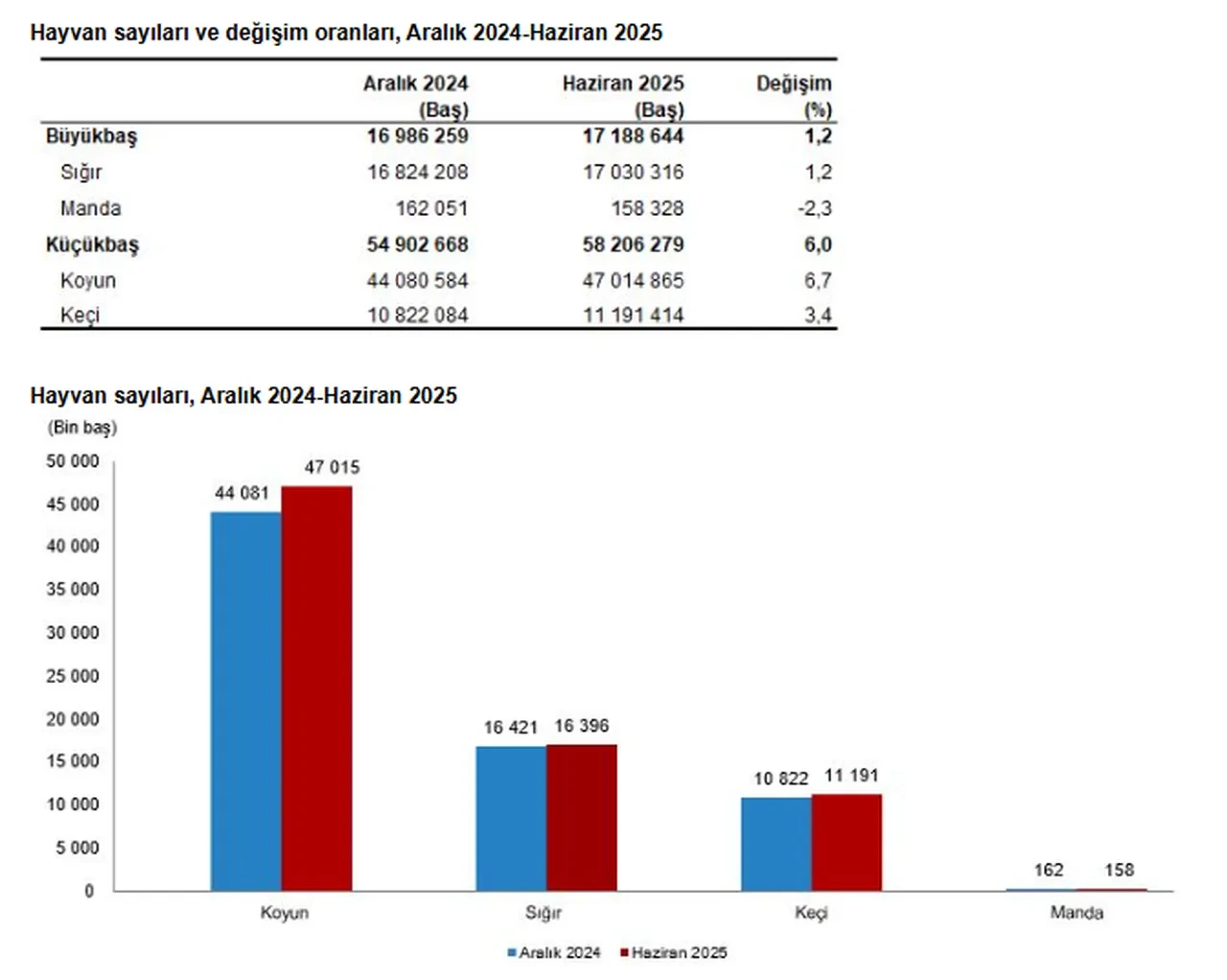 Türkiye'de hayvancılıkta son durum: TÜİK rakamları açıkladı