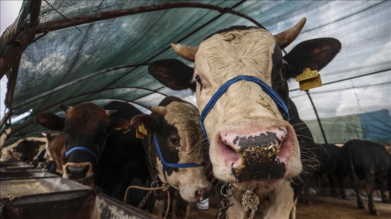 Destek için 81 bin lira ödenecek: Bakan Yumaklı duyurdu