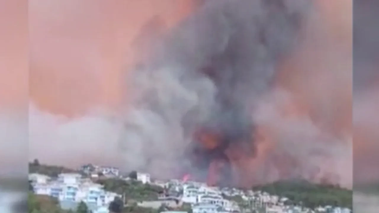 Alanya'daki orman yangınından iç acıtan görüntüler!