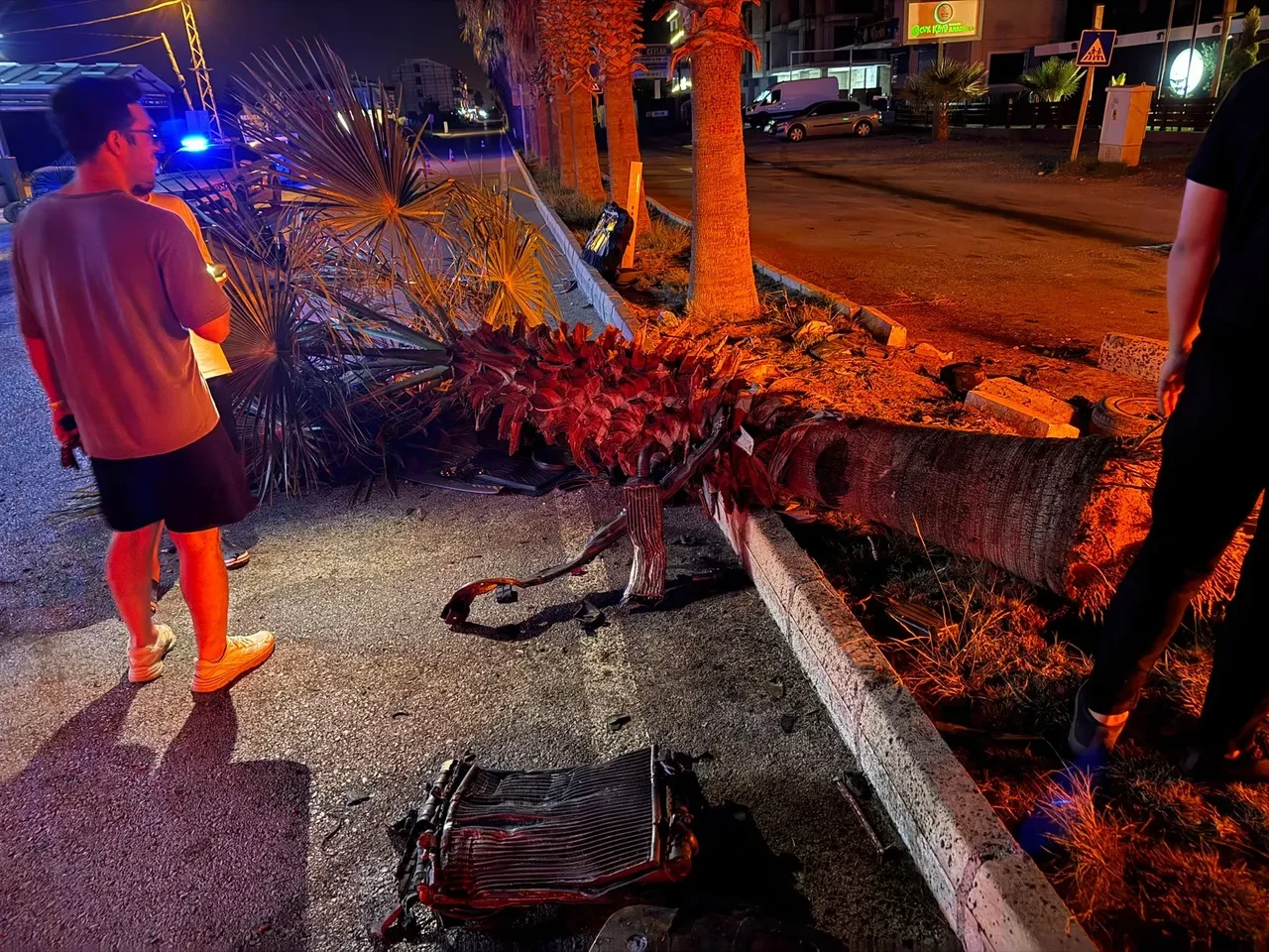 Alkollü sürücü otomobiliyle ağaca çarptı: Yaralılar var