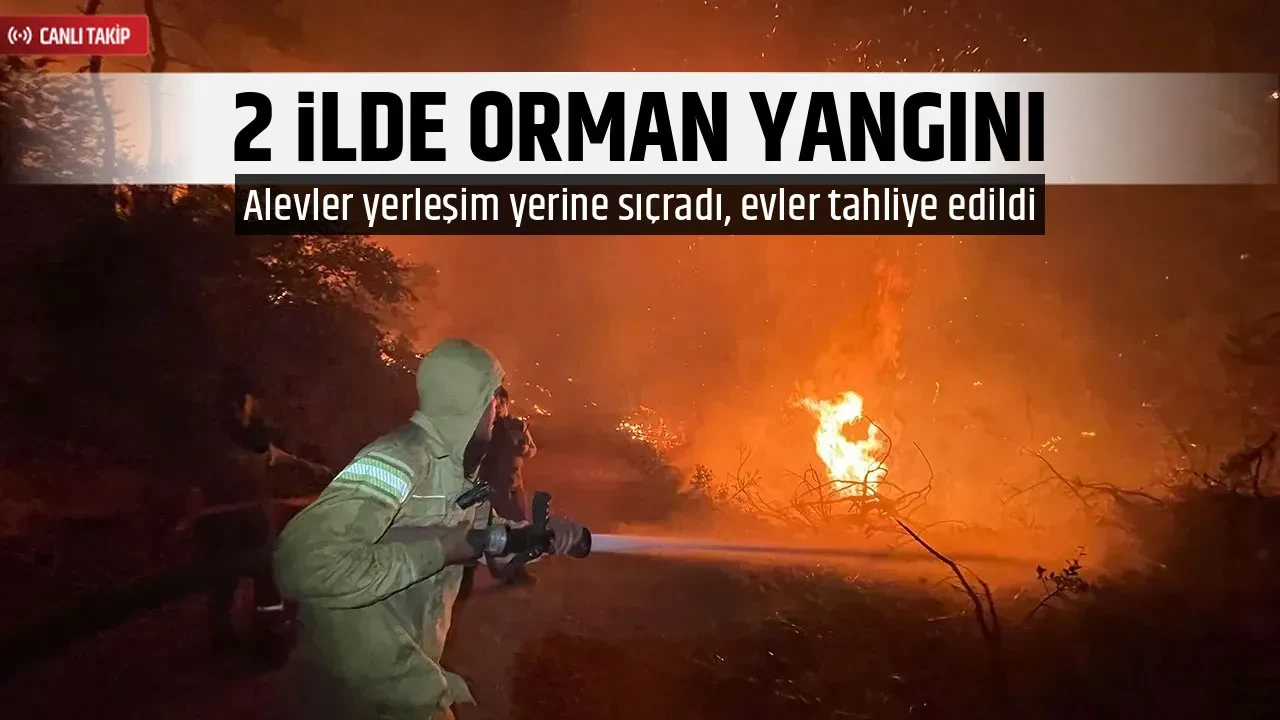 2 İLDE ORMAN YANGINI