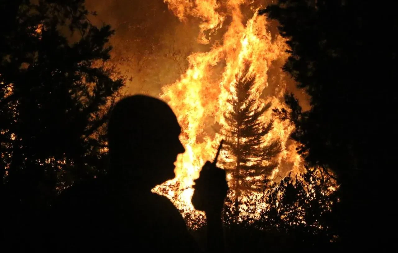 Antalya'da peş peşe orman yangınları