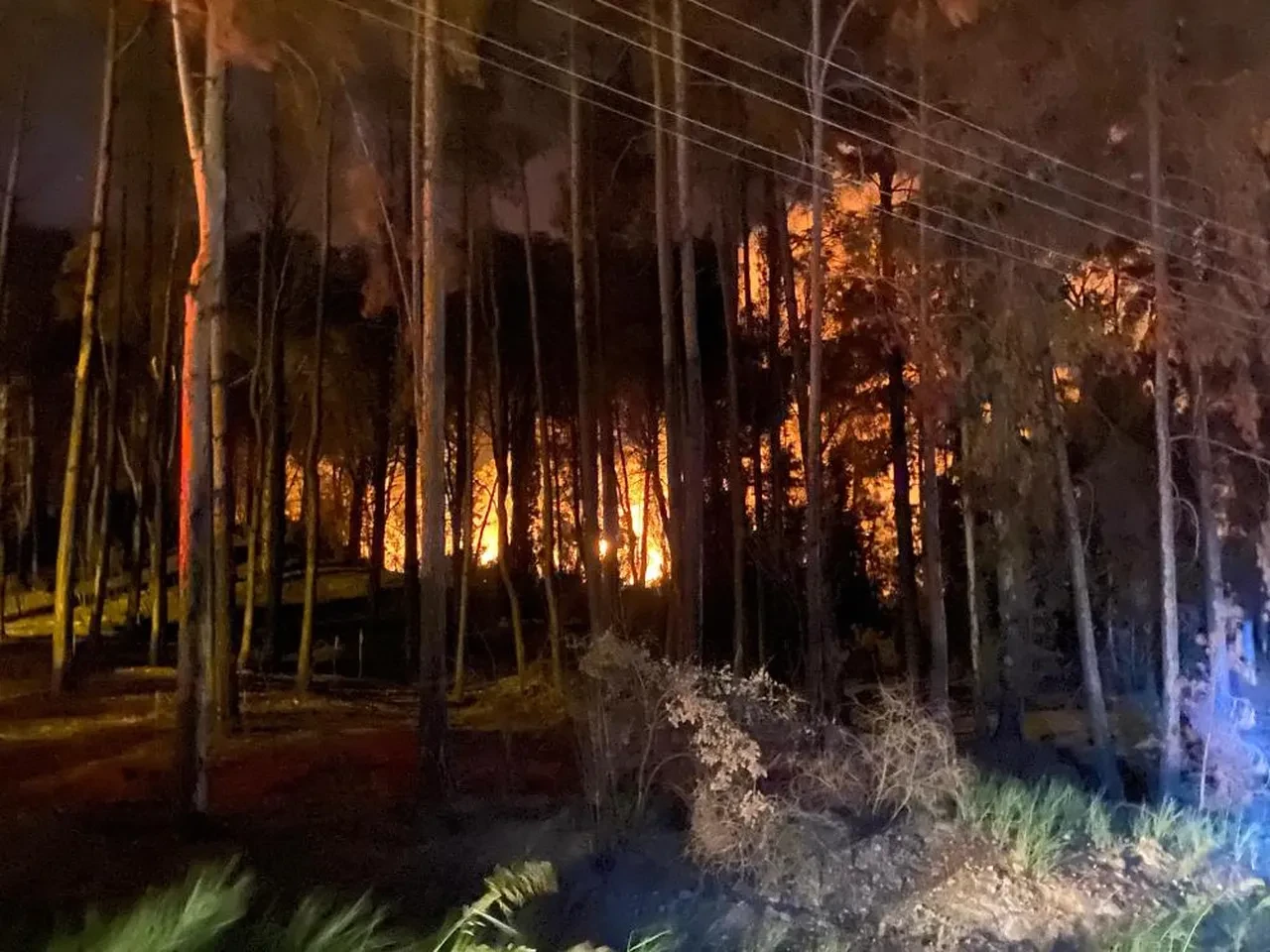 Antalya'da peş peşe orman yangınları