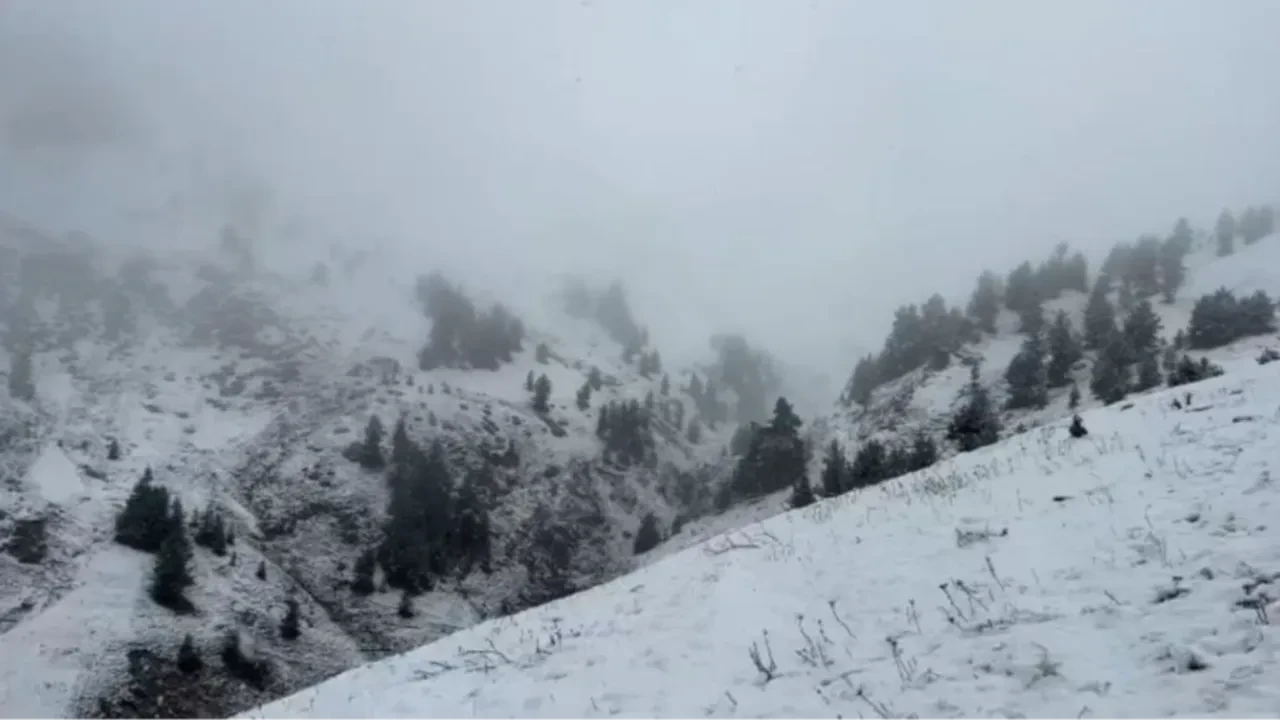 Artvin yaylaları kar altında! 