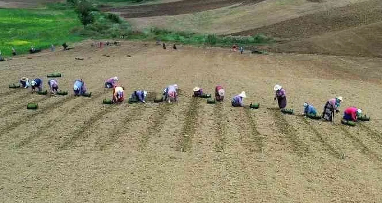 Cumhurbaşkanı Erdoğan müjdeleri tek tek sıraladı! Yeni destek ve teşvik paketleri yolda 