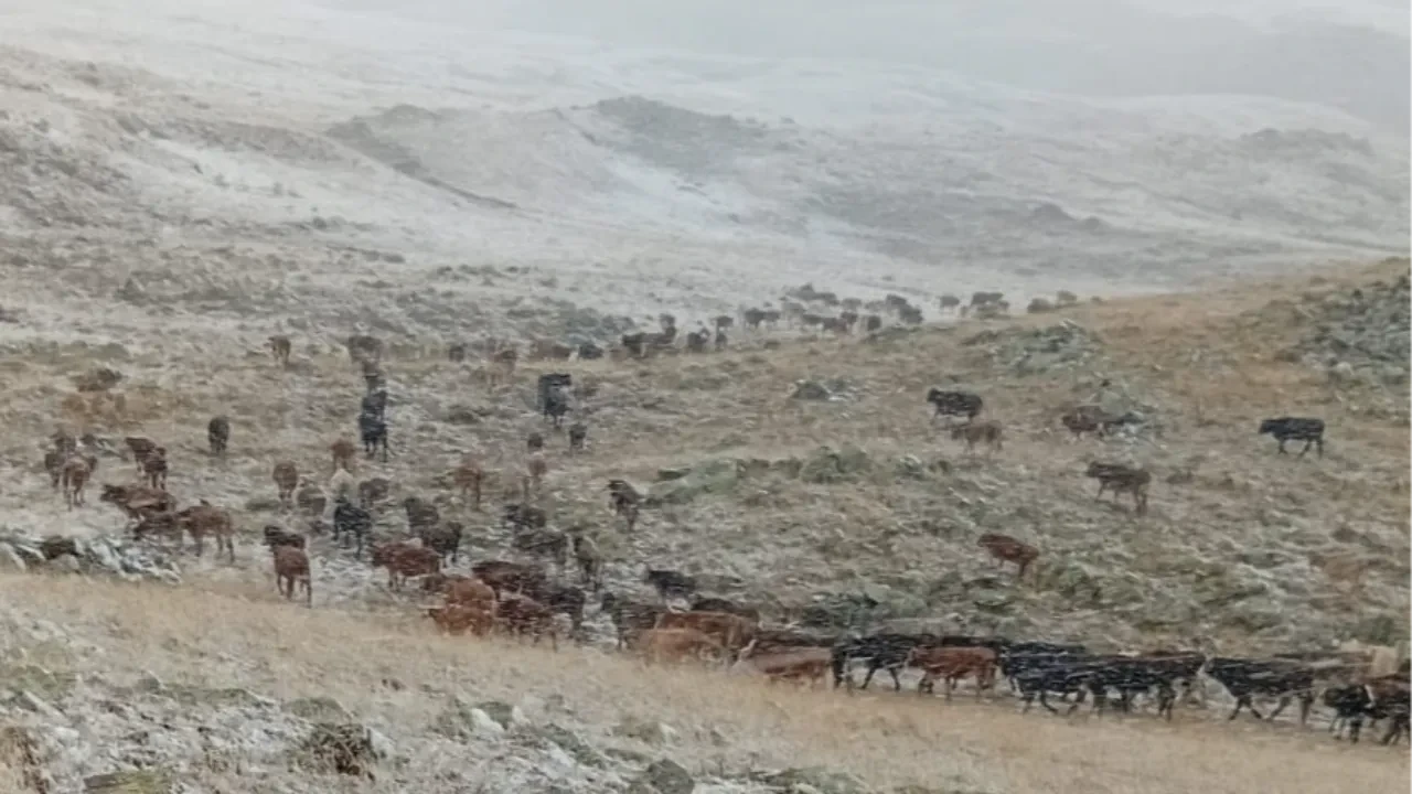 O anları çoban kayda aldı Lapa lapa kar yağdı
