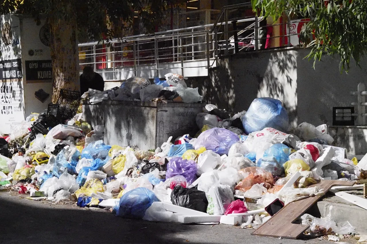 İzmir'de çöp dağları oluştu kokudan durulmuyor!