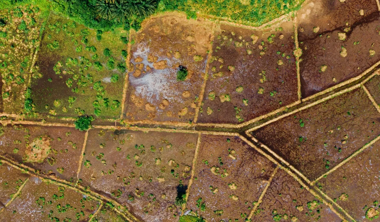 Milyonluk taşınmazlara onay çıktı! İstanbul, Muğla ve Yalova'da satış