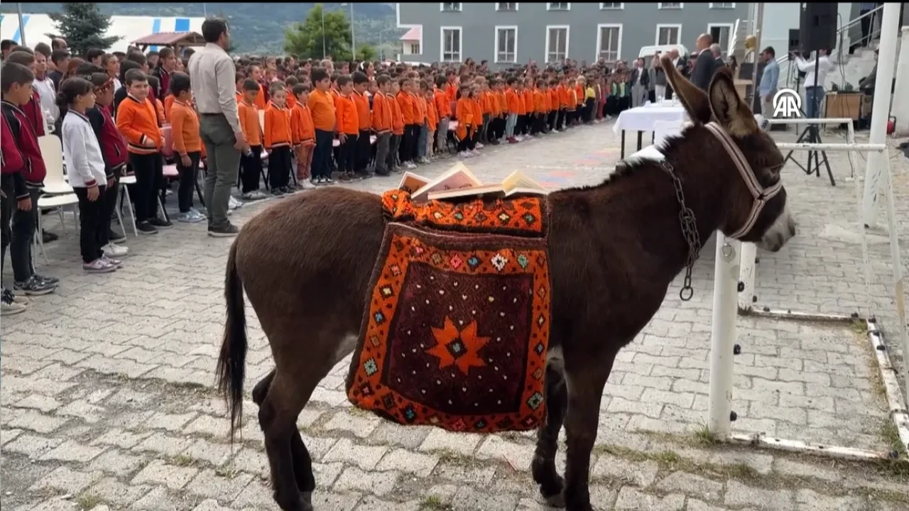 Saygı duruşunda duran eşek sosyal medyada gündem oldu