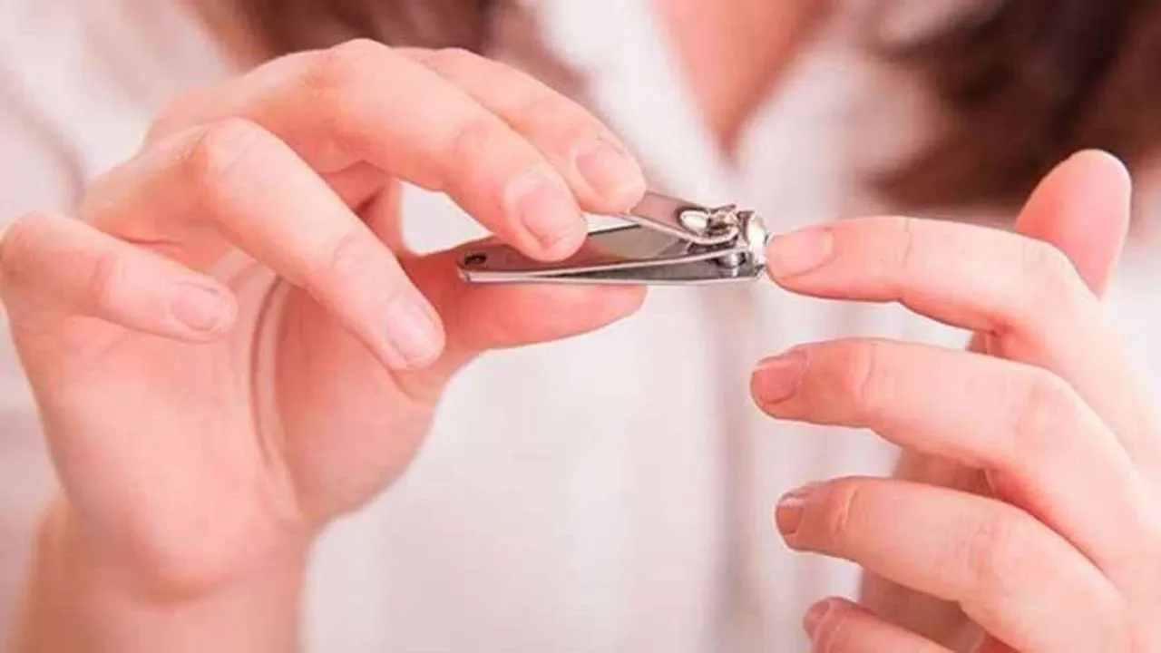 Yıllarca yanlış kesmişiz! Meğer hayati tehlikesi varmış