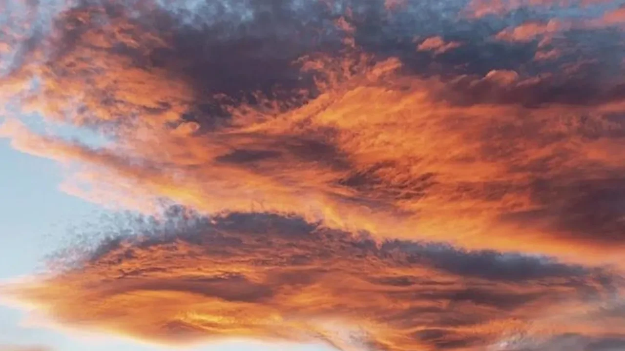 Dünya Meteoroloji Örgütü tarih verdi! Dünyanın büyük bölümünde etkili olacak