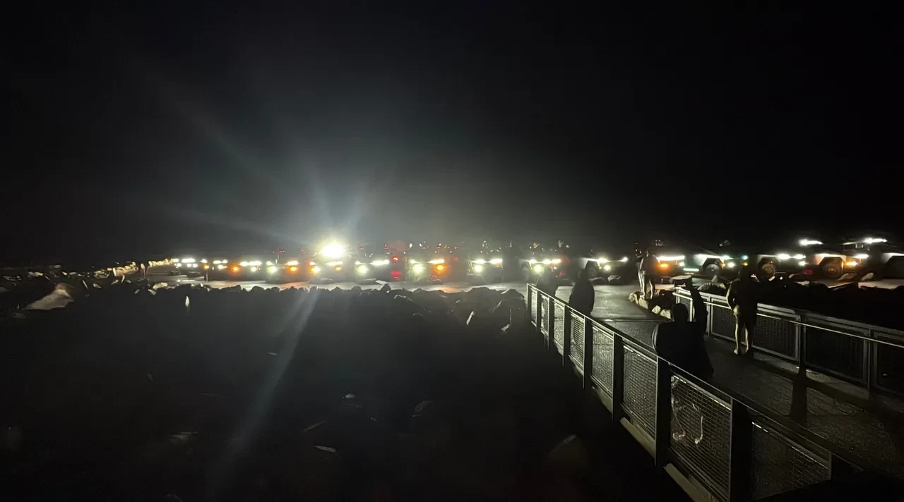 Tesla sahipleri rekorlar kitabına girdi