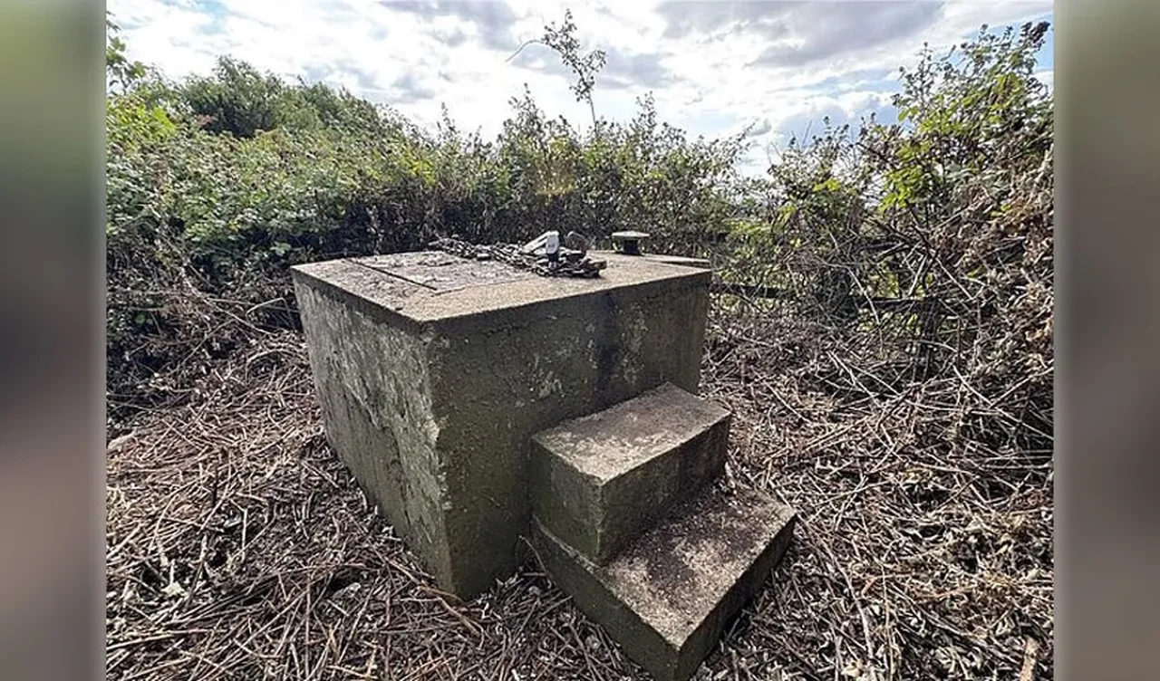 Vahşi doğanın ortasındaki 'son derece nadir' beton blok 1 milyon 100 bin TL'ye satışa çıktı!