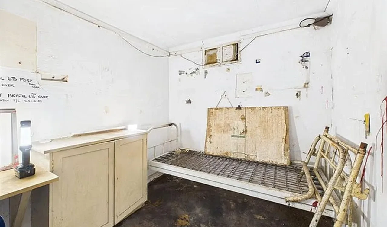 Vahşi doğanın ortasındaki 'son derece nadir' beton blok 1 milyon 100 bin TL'ye satışa çıktı!