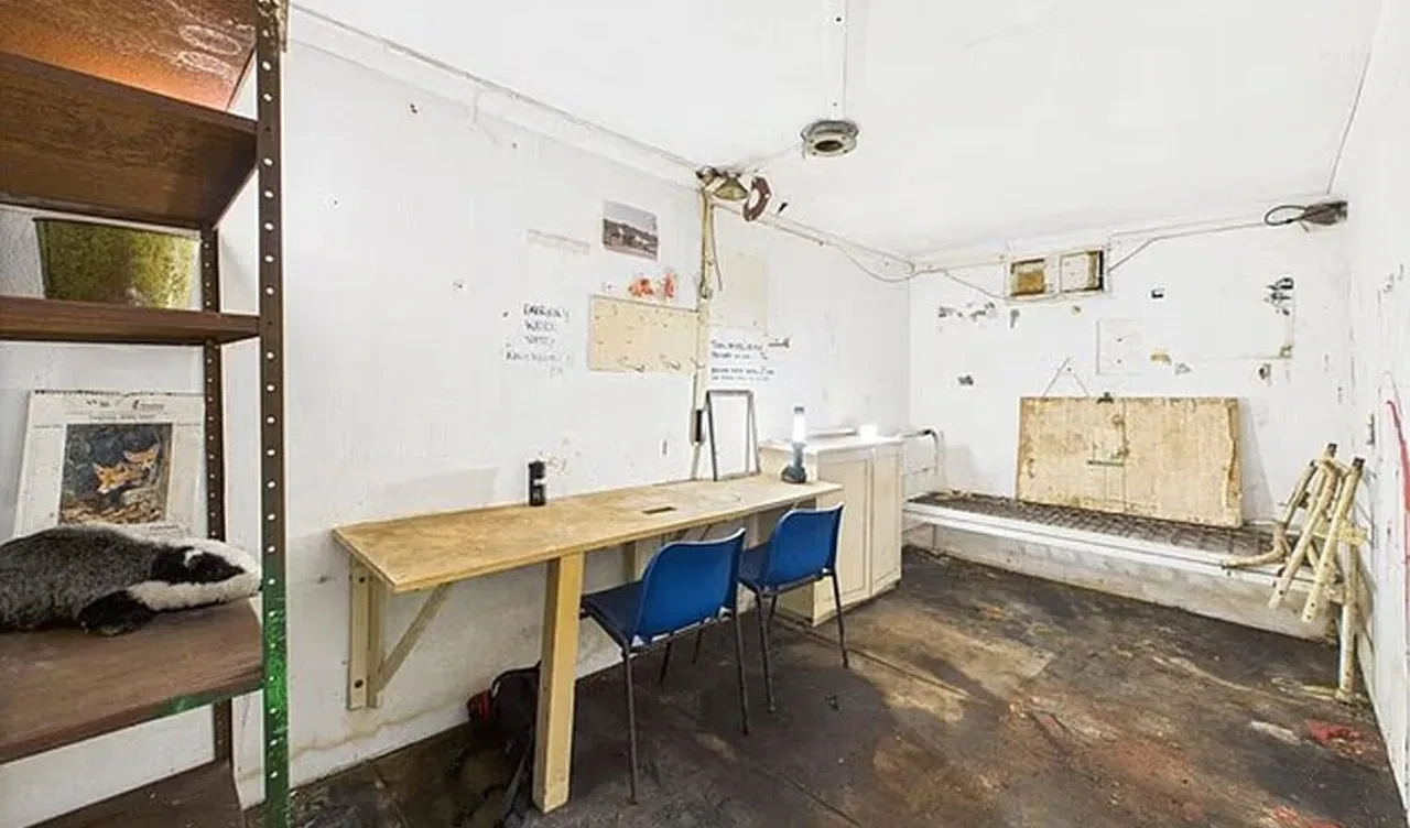 Vahşi doğanın ortasındaki 'son derece nadir' beton blok 1 milyon 100 bin TL'ye satışa çıktı!