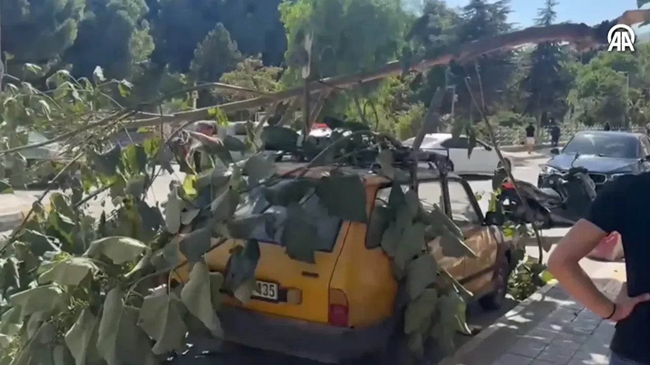 Ağaç dalı otomobilin üstüne devrildi