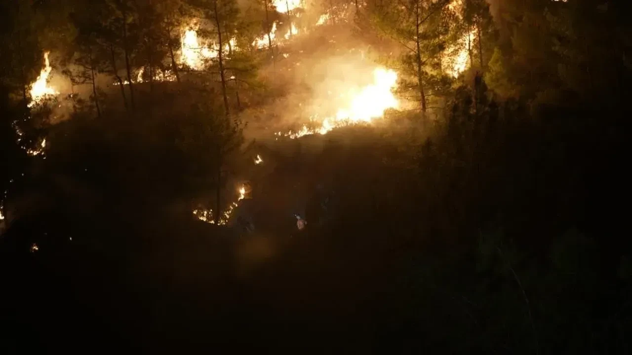 Muğla Köyceğiz ve Milas’ta çıkan yangınlarla ekiplerin mücadelesi sürüyor