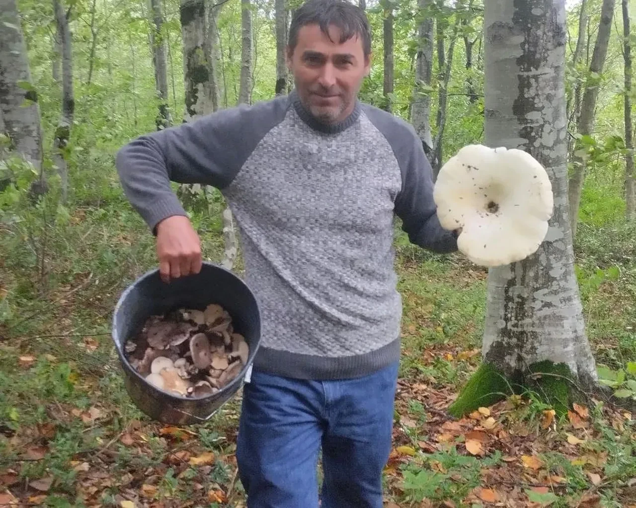 Ormanda 3 kiloluk dev mantarlar buldu