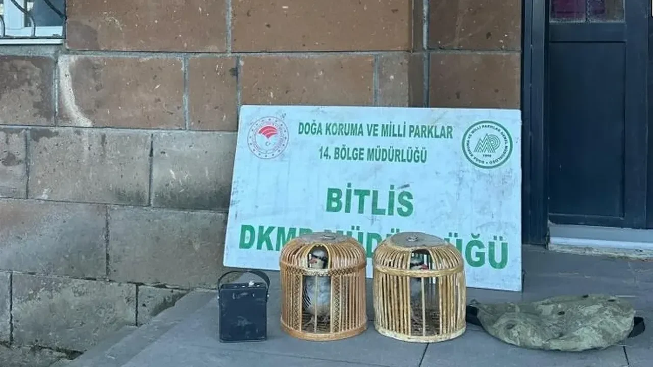 Adilcevaz’da kaçak avcılara rekor ceza