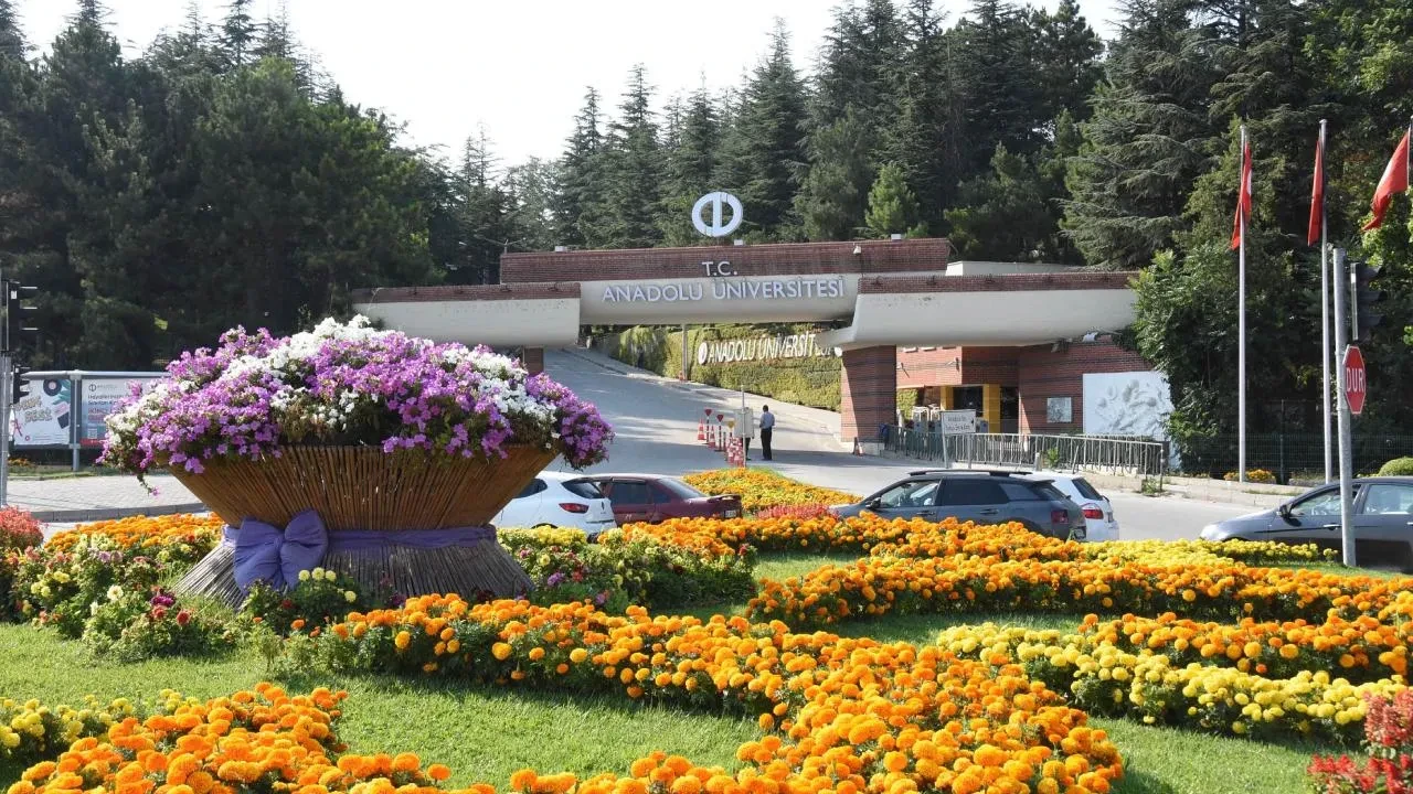 Anadolu Üniversitesi'nden 2 alanda sınavsız eğitim fırsatı!