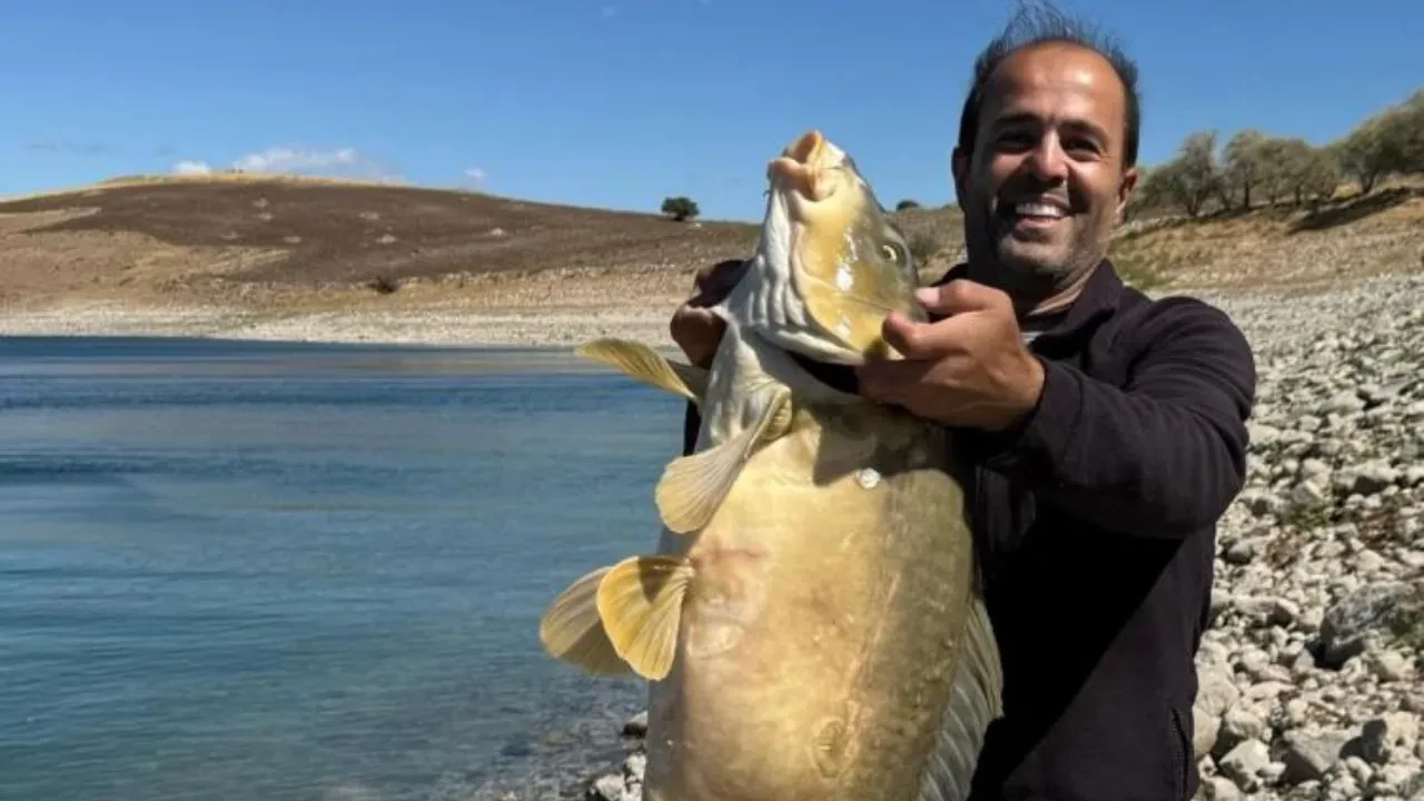 Elazığ’da 21 kiloluk dev balık avlandı: Görenleri hayrete düşürdü!