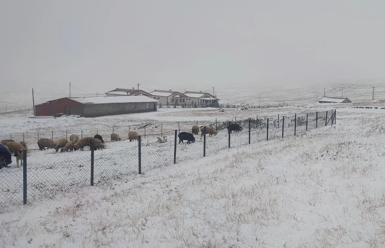 Eylül ayında kar sürprizi! Her yer beyaza büründü