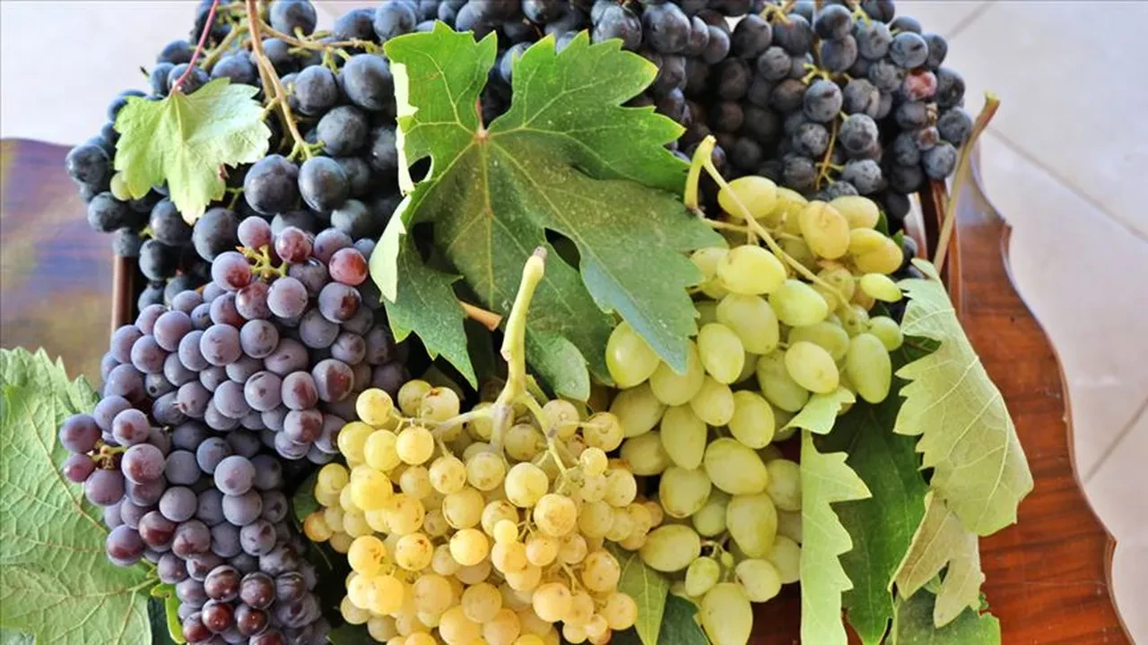 Sofraların altın rengi ihracat rekoru kırdı: Miktar düşük, kazanç zirvede