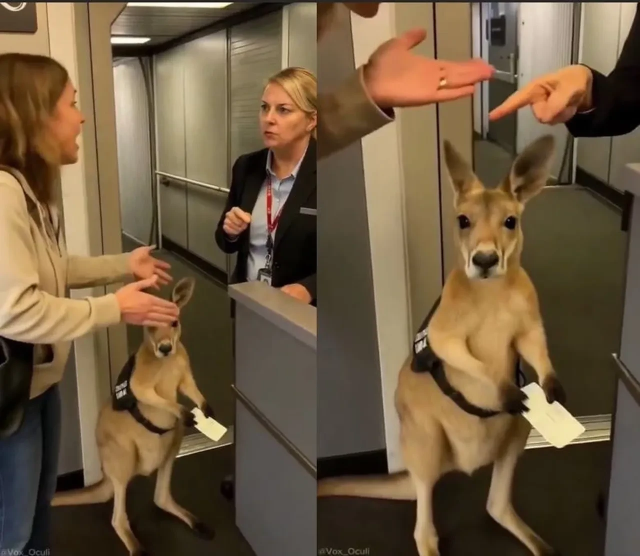 Sosyal medyada 'AI Slop' tehlikesi büyüyor: Gerçek ile sahteyi birbirinden ayırmak çok zorlaştı