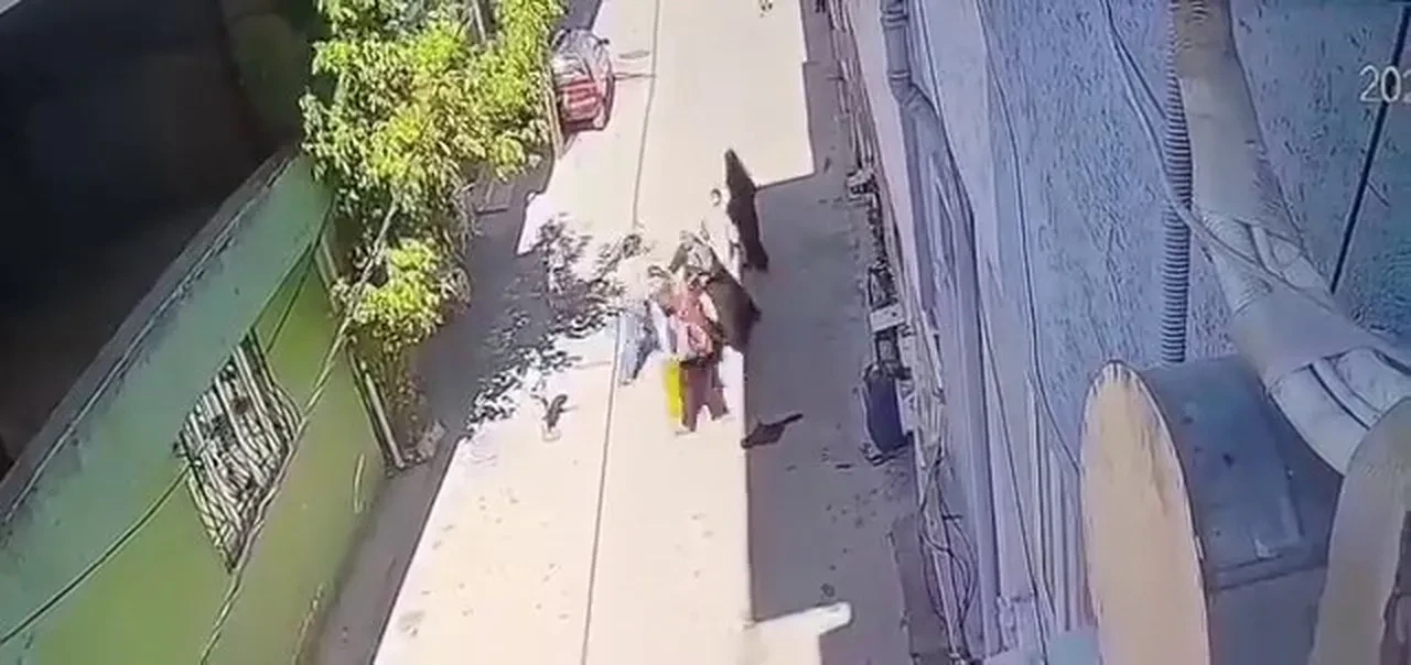 Bursa'da sokak ortasında dehşet! Çocuğunun gözleri önünde anneye tekme tokat saldırdılar